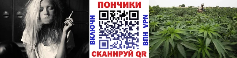 где найти   Суджа  Шишки марихуана Ganja 